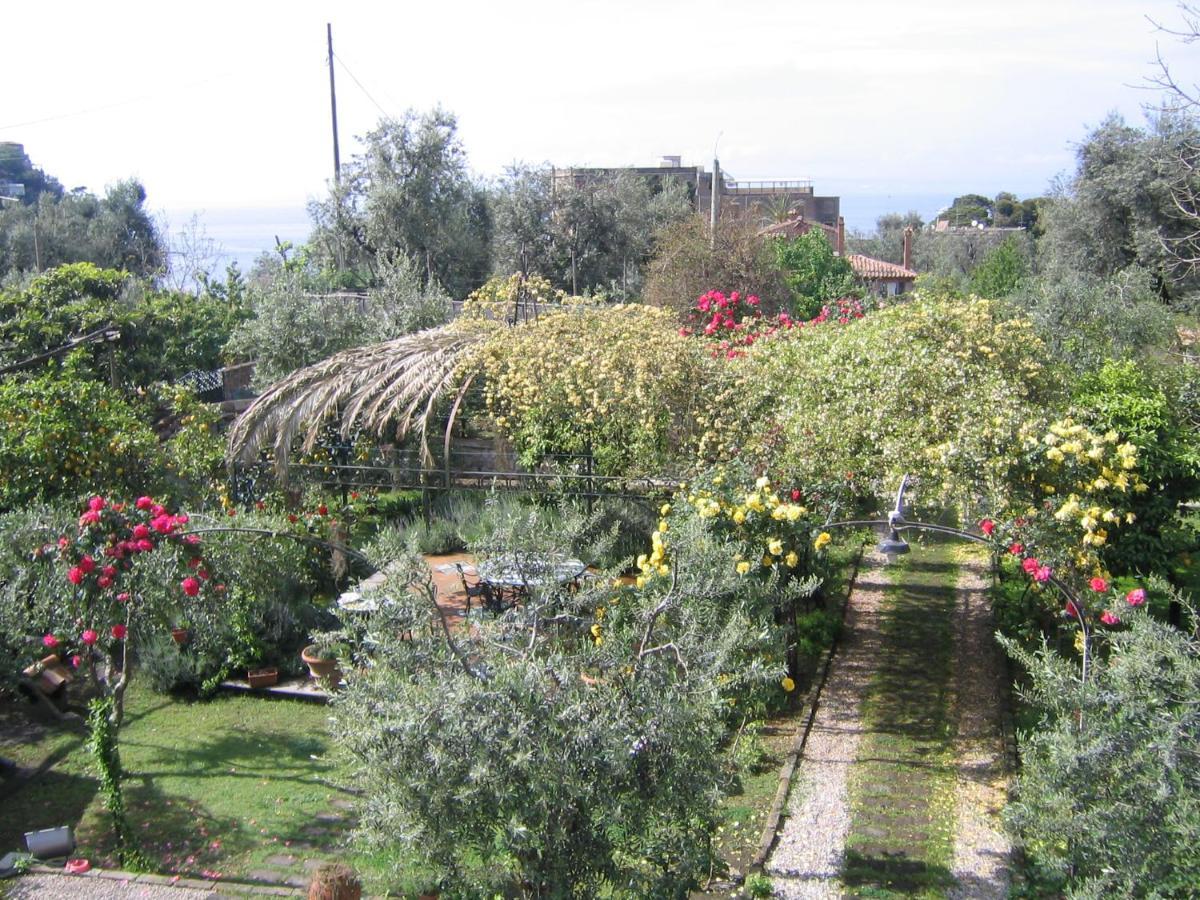 Suite Lidia B&B Sorrento Eksteriør bilde