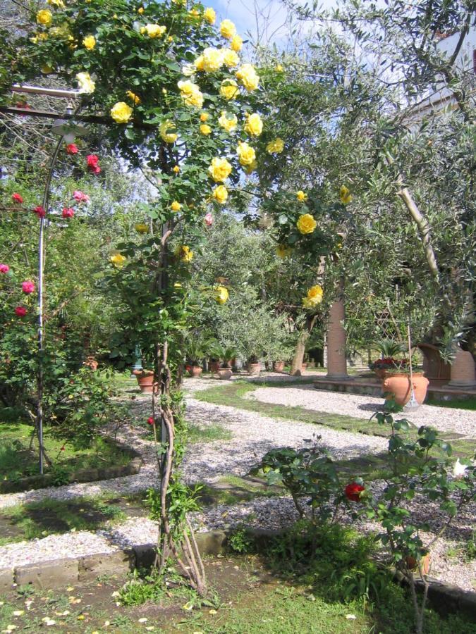 Suite Lidia B&B Sorrento Eksteriør bilde