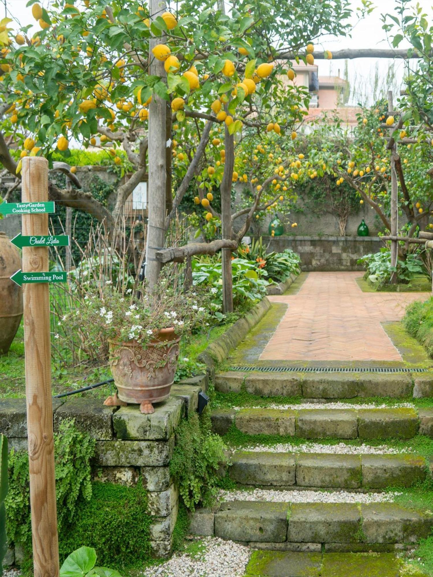 Suite Lidia B&B Sorrento Eksteriør bilde