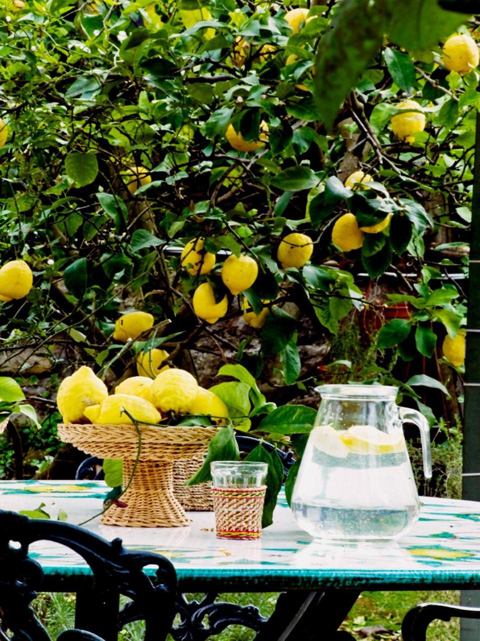 Suite Lidia B&B Sorrento Eksteriør bilde